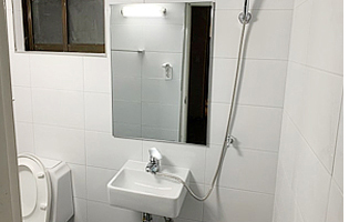 Owl Image